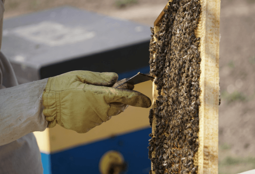 Roof Cavity Decontamination